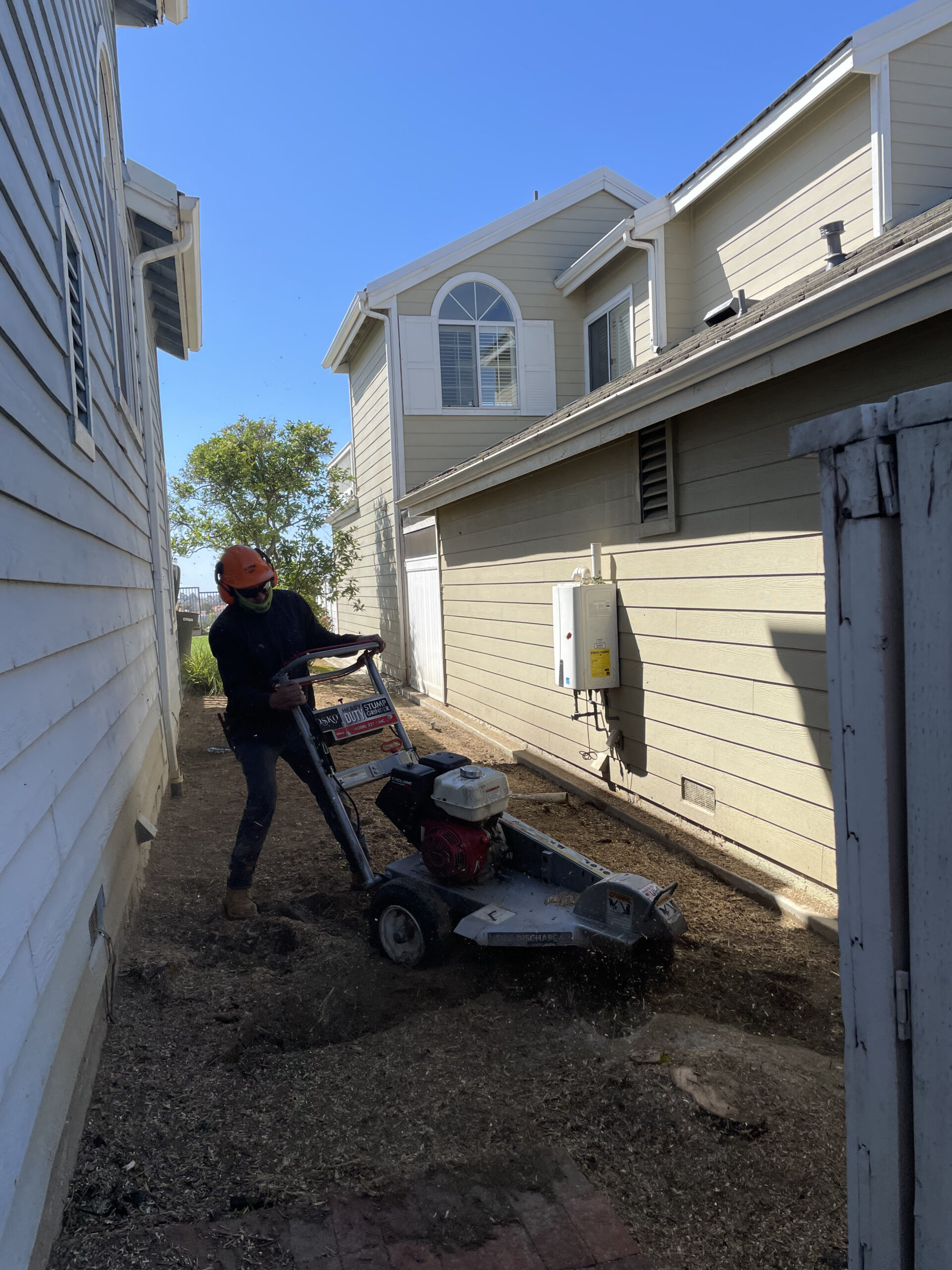 Stump Grinding