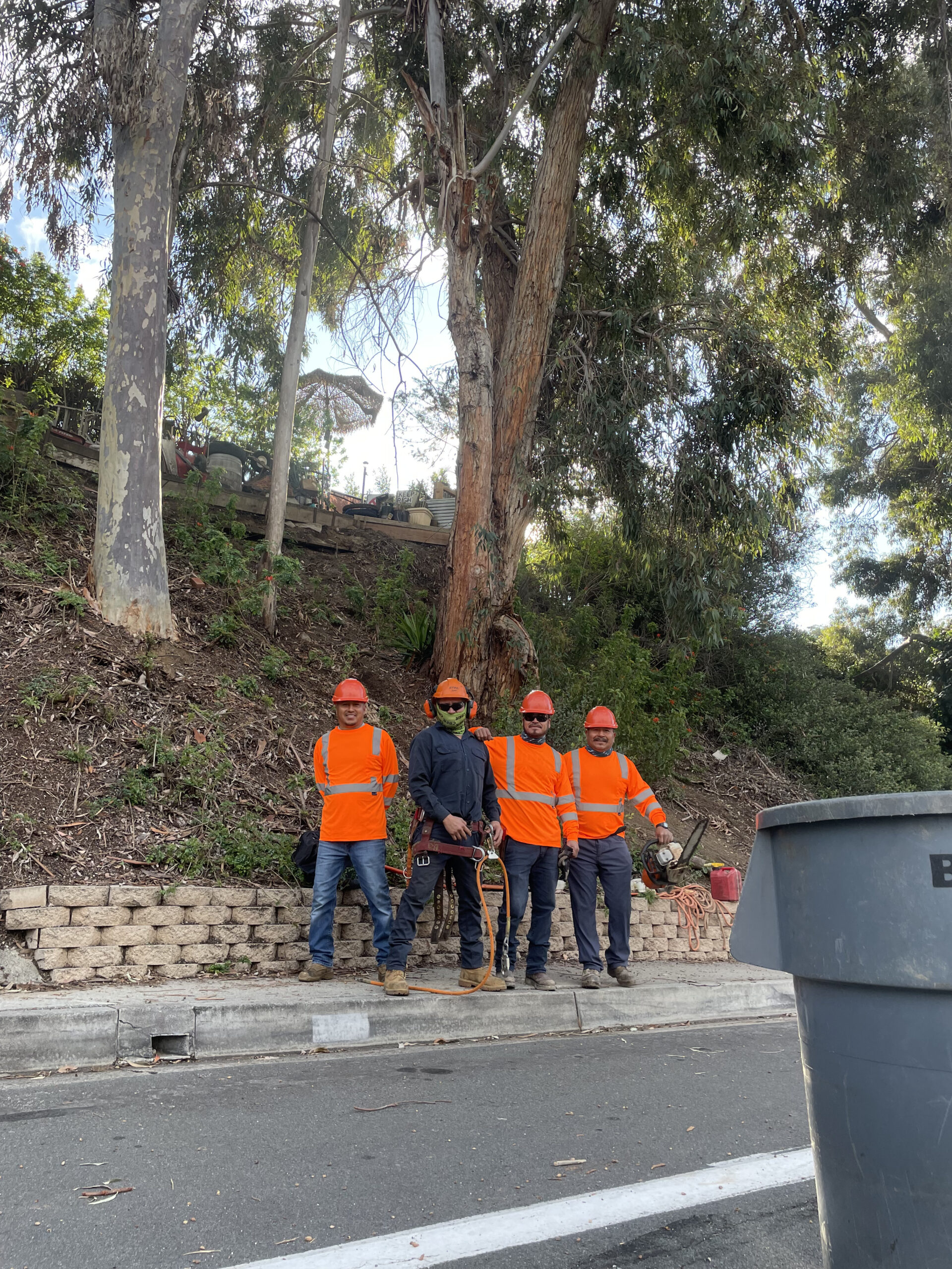 Stump Grindings